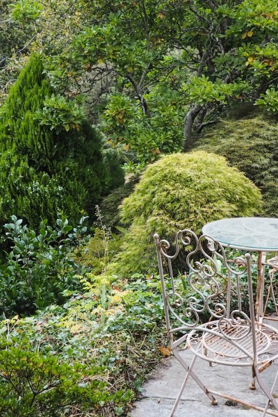 Conifers offer leaf contrast and sculptural shape in a border #gardendesign