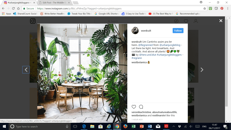 #urbanjunglebloggers