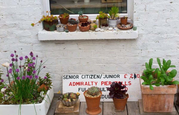 Add atmosphere to a seaside garden