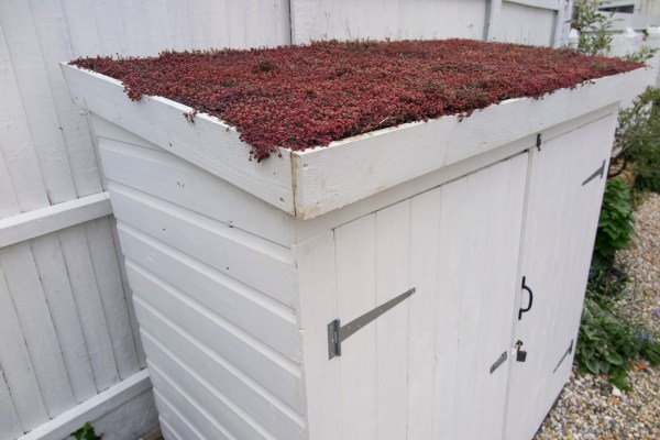 Paint your bins, sheds and fence white