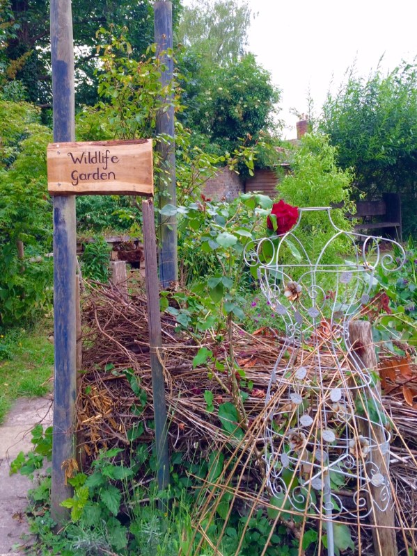 A perfect wildlife garden - the Abbey Physic Community Garden in Faversham