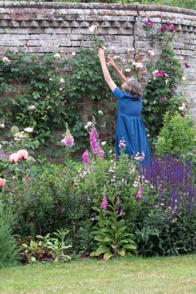 Flowers at Doddington Place Gardens