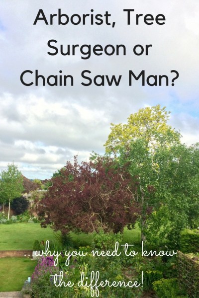 Why you need to know the difference between an arborist, tree surgeon and a chain saw man