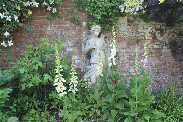 White foxgloves.