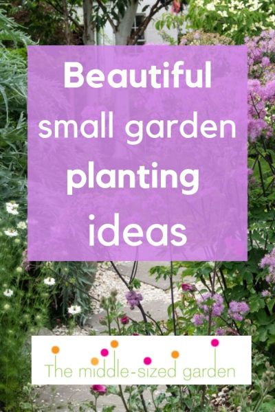 beautiful small garden planting ideas