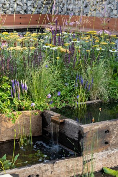 Nurturing Nature in the City Garden by Caroline and Peter Clayton