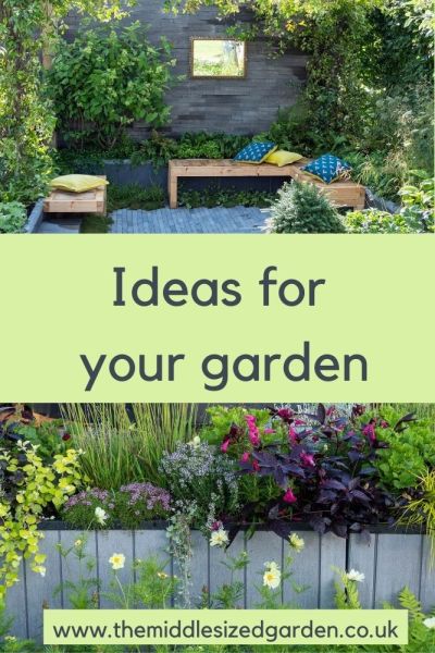 Contemporary garden ideas