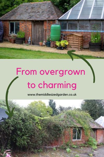 How to tackle a neglected garden