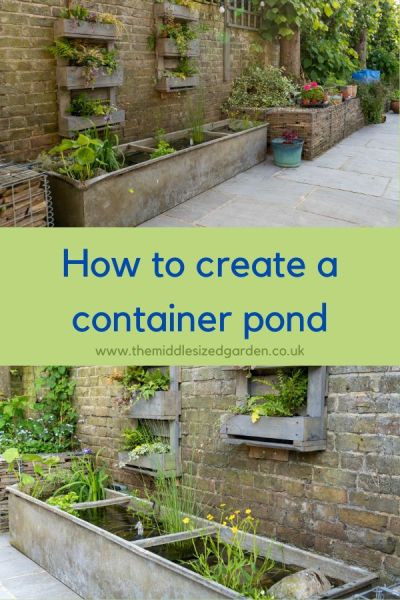 Container pond in an agricultural water trough