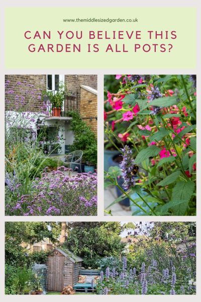 A rented garden in pots