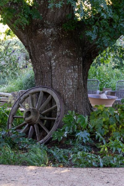 An ancient oak tree in the front garden creates micro-climates.