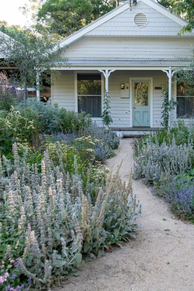 Contemporary cottage garden planting design by Tim Pilgrim.