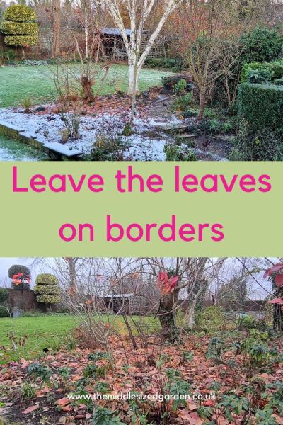 Leave the leaves on borders