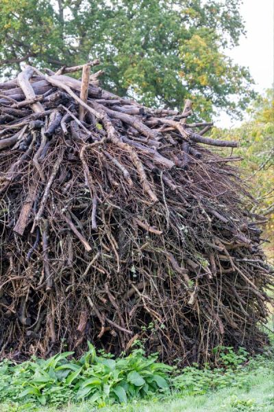 The habitat pile at Great Dixter