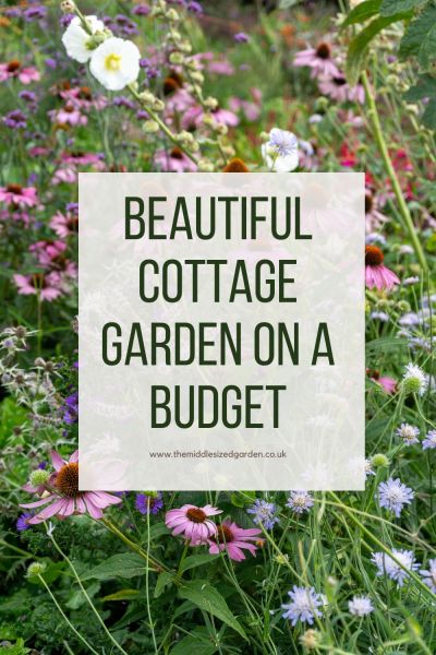 Thrifty tips for a rustic cottage garden haven.