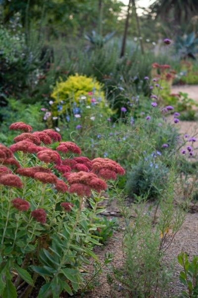 Heronswood's driveway garden.