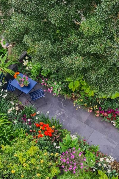 Dan Cooper's garden from above