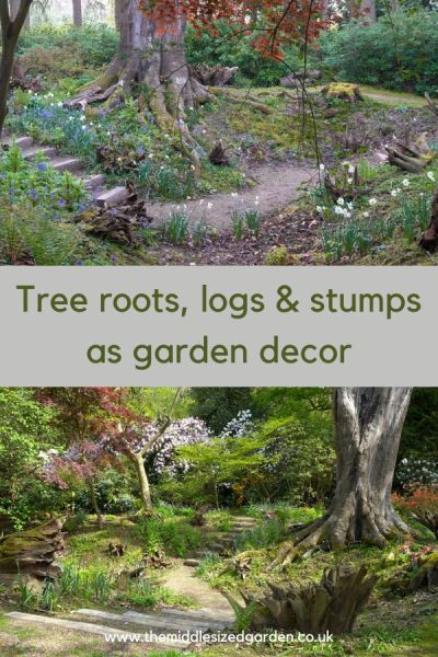 Stumps, logs and tree roots come together to make a stumpery at Doddington Place Gardens