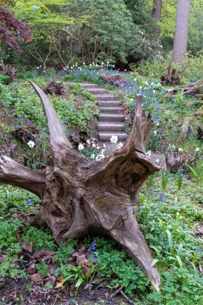 Use tree stumps as garden sculpture