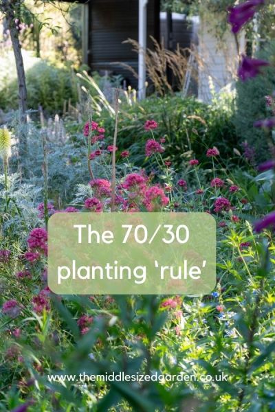 Plant 70% 'safe' plants, then experiment with the remaining 30%, says Tim.