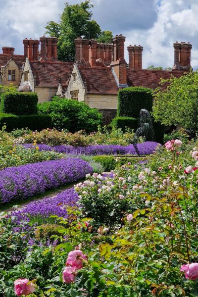 Borde Hill Garden with lavender