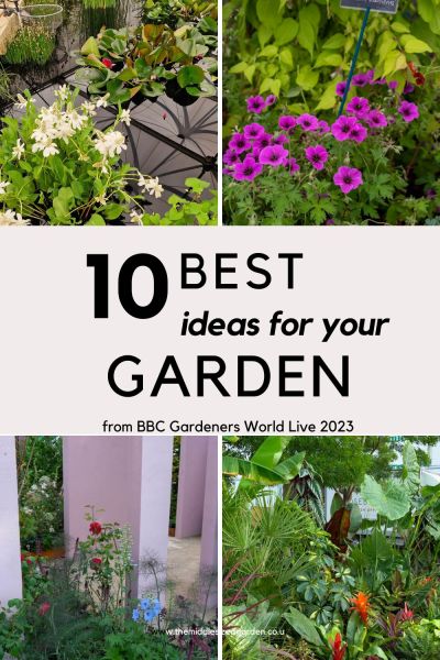 10 best ideas from your garden from BBC Gardeners World Live 2023