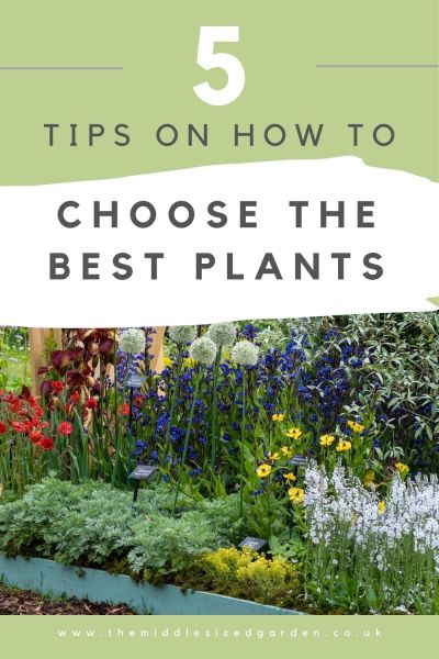 How to choose the best plants for your garden