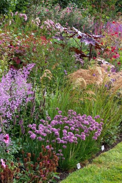 Reds and pinks in a border at the No Name Nursery in Kent