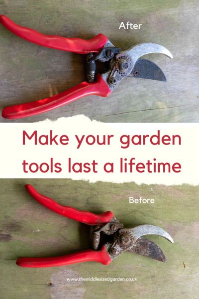 How to clean and maintain garden tools