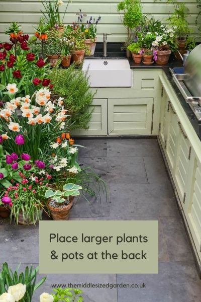 Group pots with larger plants at the back.