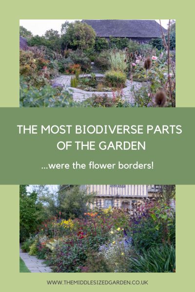 The biodiversity audit found the highest number of species in the flower-filled borders.