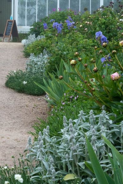 Mid-summer garden border at West Dean Gardens