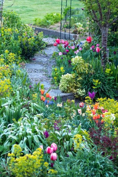 Spring garden path and bulbs