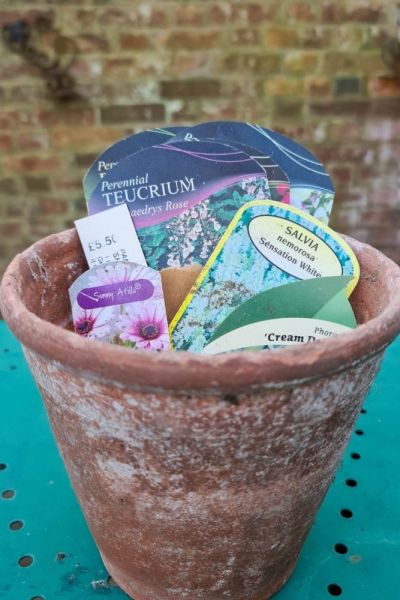 Use a pot for plant labels