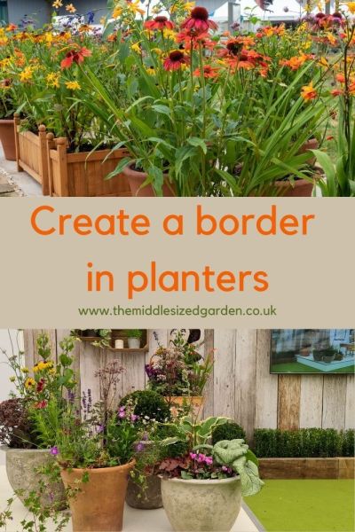 borders in pots and planters