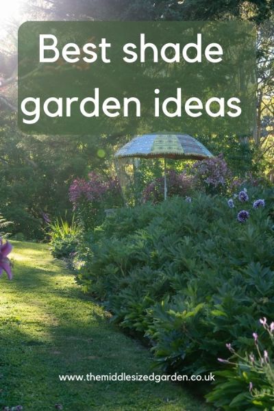 Best shady garden ideas