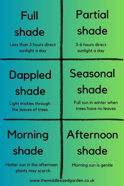 The different kinds of shade in a garden