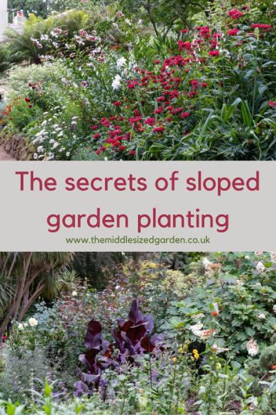 Remember the different angles in a sloping garden.