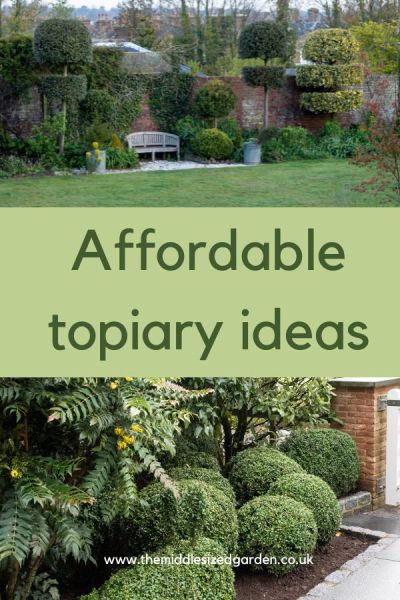 Grand topiary ideas at budget prices