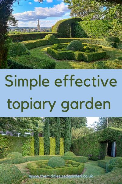 DIY topiary garden using conifers and simple shapes