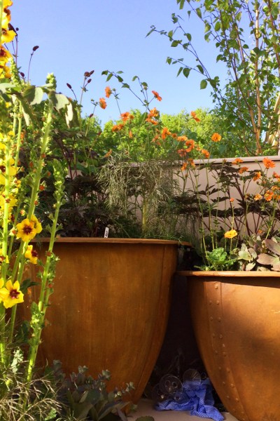 Large pots need less watering than small ones