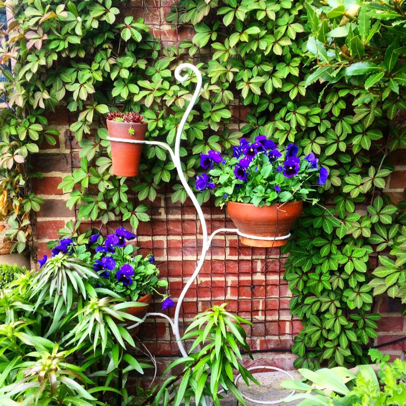 Plants on pot stands dry out - quickly, so water regularly.