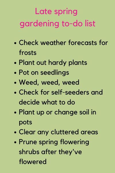 Late spring gardening to-do list