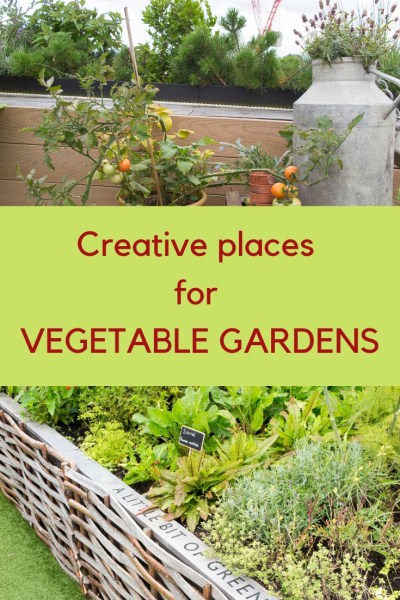 The vegetable garden on the roof of John Lewis, Oxford Street.