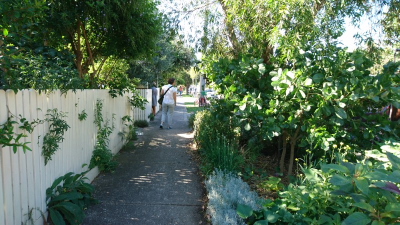 Verge gardening can be used for food growing