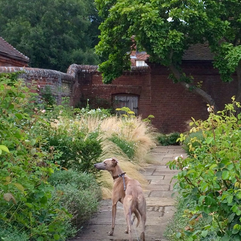 Romantic garden paths