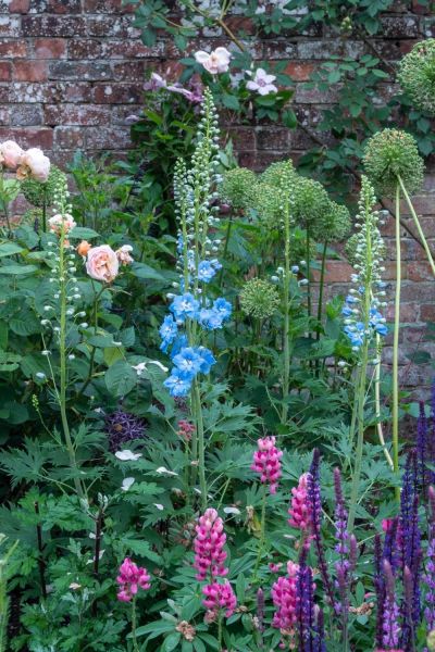 Traditional English country garden flowers