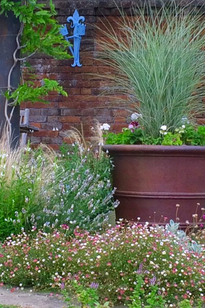 Grasses in planter at Doddington Place Gardens