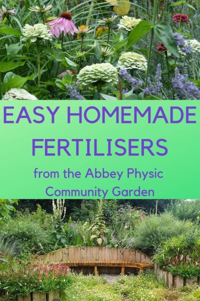 5 homemade fertilizers to make your garden grow