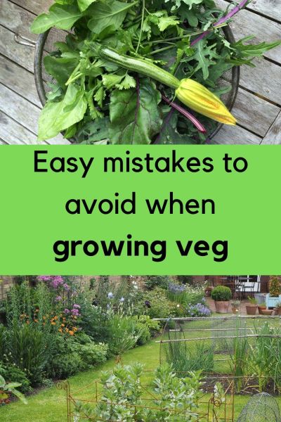 mistakes to avoid when growing veg